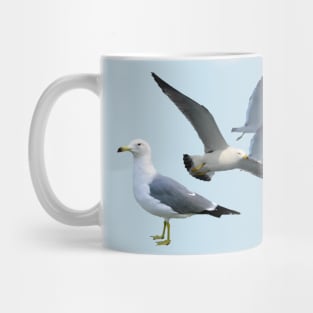 Black Tailed Gulls Mug